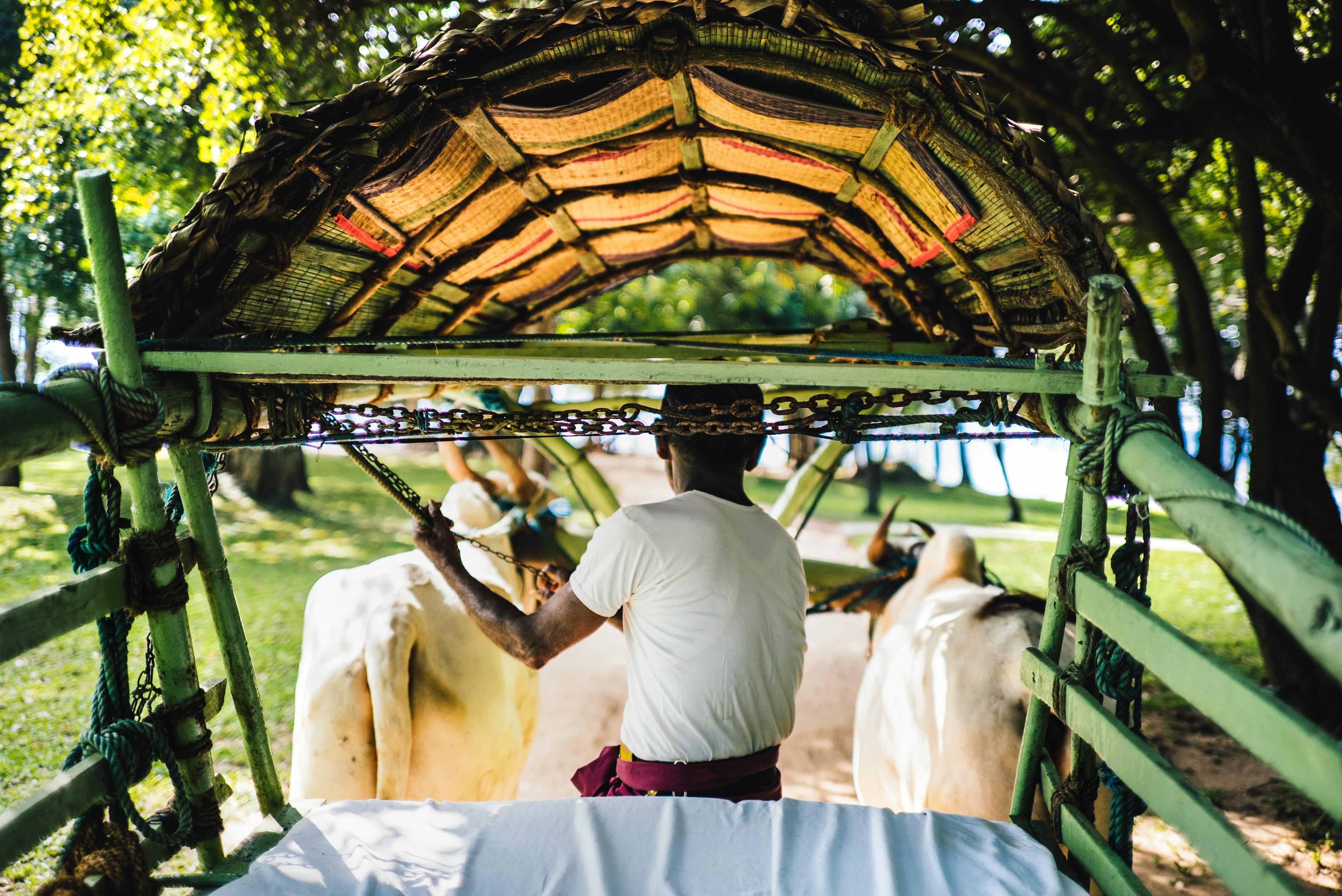 Amaya Lake Dambulla Sigiriya Esterno foto